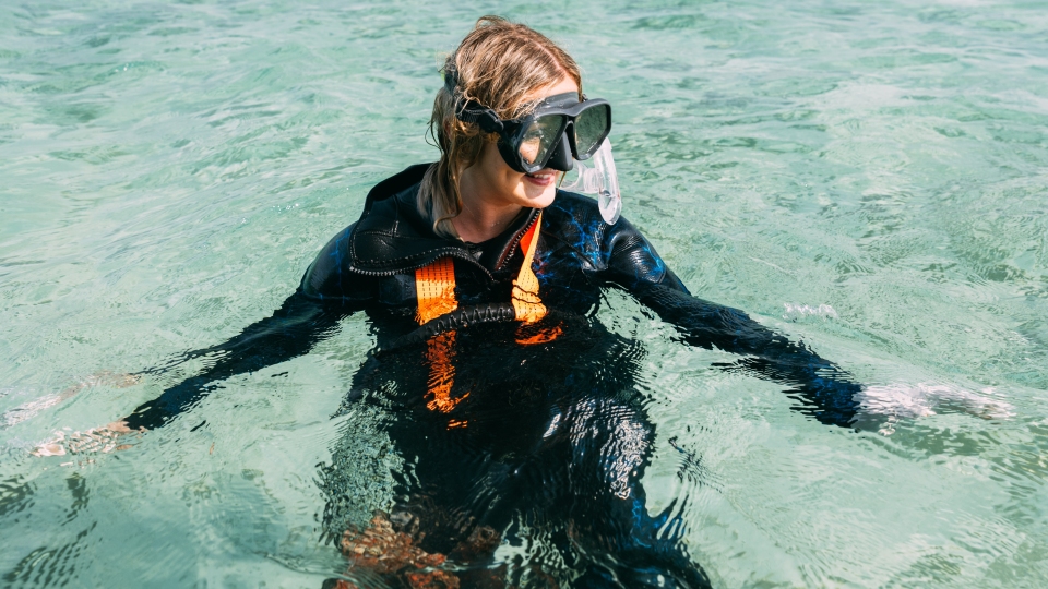 Private Pearl Diving - Image 1